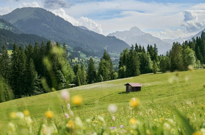 重庆发布《推动经济社会发展全面绿色转型行动计划（2025—2027年）》