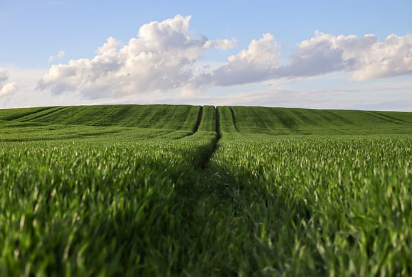 工信部力推！48项先进水处理技术出炉，化工、印染、制药等13大行业迎重磅清单