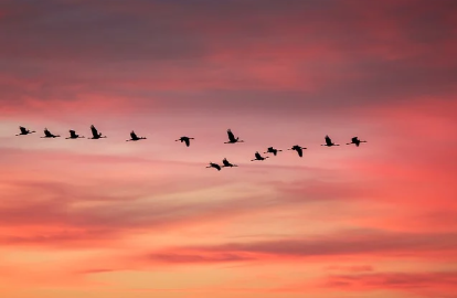 聚焦高耗能！陕西省2025年工业废水循环利用试点征集工作启动